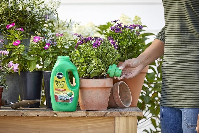 Miracle-Gro Pour &amp Feed Plant Food (Liquid) 32 fl. oz. (6 Pack)