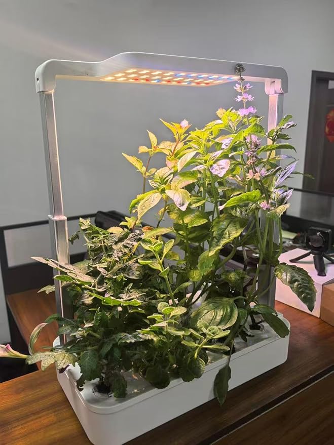 12 Pods Indoor Garden Hydroponics Growing System24W LED Grow Light6.5L Water TankPump SystemAutomatic Timer Smart Vegeable and Fruit Grow Garden KitWhite
