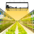 SANSI 400W Dimmable LED Grow Light Full Spectrum Plant Light with LM301 Diodes IP54 Waterproof 50000 Hours Lifespan High PPFD LED Lamp for 3x3FT/4x4FT Grow Tent