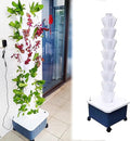 Hydroponics Growing SystemIndoor herb Gardenhydroponic Growing Kits &amp SystemsVegetables hydroponic Grow kitwith Hydrating Pump Adapter Net Pots. (Size : 8th Floor)
