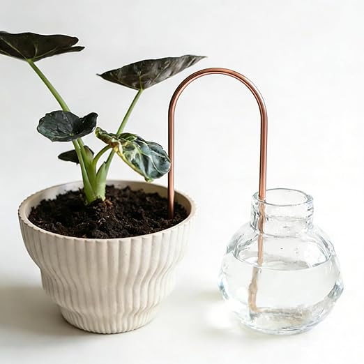 Self-Watering Plant Wick System Brass and Cotton U-Shaped Automatic Drip Irrigation for House Plants (Rose Gold)