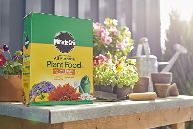 Miracle-Gro Water Soluble All Purpose Plant Food - Fertilizer For All Indoor or Outdoor Plants including Roses Flowers Vegetables Houseplants Trees and Shrubs 10 lbs. (4-Pack)
