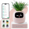 Smart Planter with App Control Self-Watering AI Plant Pot with LCD Display Interactive Desk Plant Companion for 100+ Plants Smart Indoor Planter with Pomodoro Timer80ml ReservoirCalendar-Pink