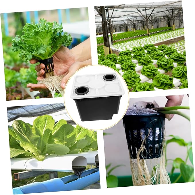 Plastic Planting Basket for Outdoor Greenhouse Hotel Self Watering Planter Garden Supplies