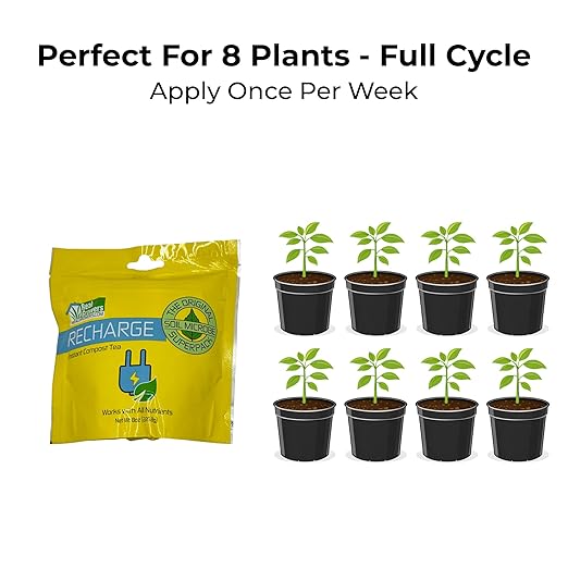 Real Growers Recharge – 8oz | Mycorrhizae Soil Microbe Inoculant for Living Soil &amp Coco Coir | Improves Nutrient Uptake &amp Root Growth