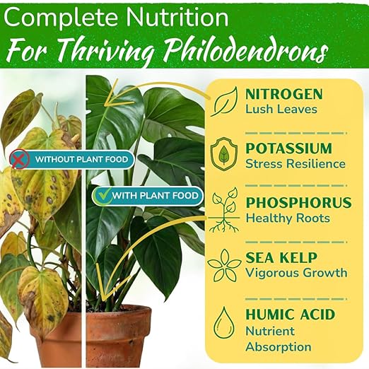 Philodendron Fertilizer – Liquid Plant Food for Strong Roots Healthy Growth &amp Lush Foliage | 3-3-3 NPK Formula with Sea Kelp Humic &amp Fulvic Acid | Essential Nutrients for Tropical Houseplant