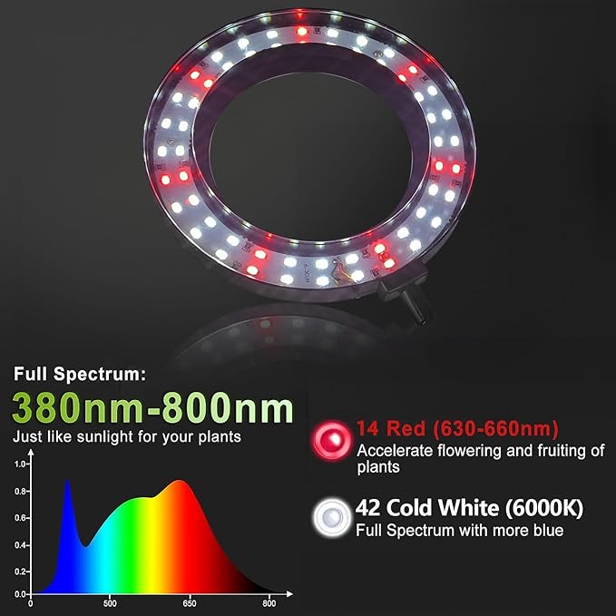 GooingTop Grow Light 50W 6000K LED White Full Spectrum Plant Growing Lamp for Home Office Indoor PlantsAdjustable Height &amp Auto Timer 4 8 12Hrs Ideal for Micro Greens Faster Growth