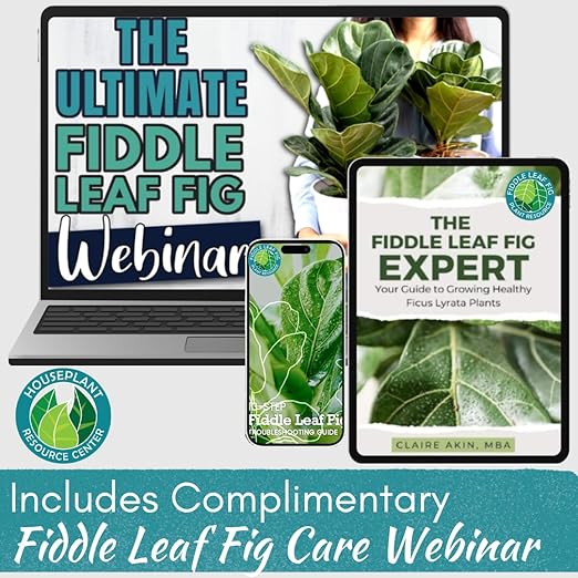 Fiddle Leaf Fig Rescue Drops – Treats Root Rot Brown Spots Leaf Drop &amp Stress | Immune Boosting Liquid Formula Concentrate | Easy to Use | Safe for All Tropical Plants | 3.3 oz | Made in USA