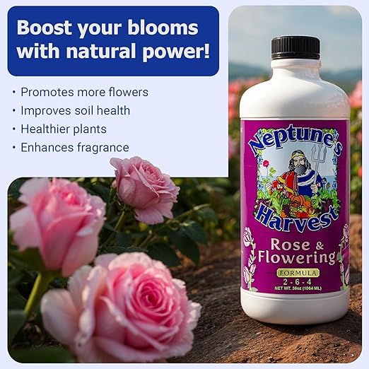 Neptune's Harvest Organic Plant Fertilizer | Liquid Fertilizer for Lawn Garden &amp Houseplant | Rich in Essential Nutrients | Rose &amp Flowering 2-4-2 (Quart) + Fish &amp Seaweed Plant Food 2-6-