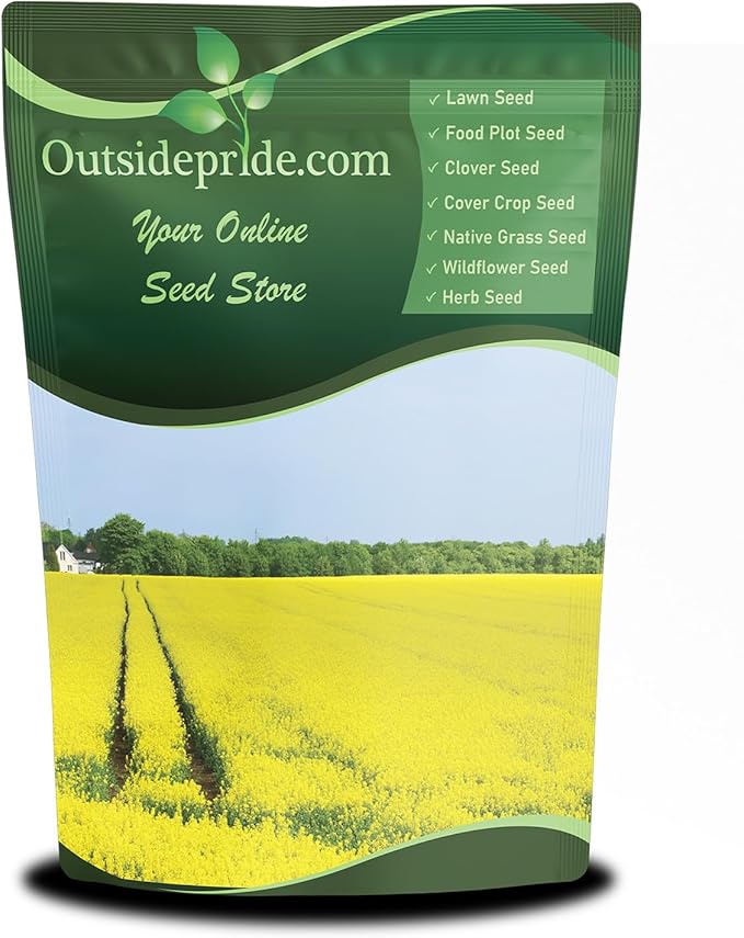 Outsidepride Trophy Forage Rape Seed - 10 Lbs Heat Cold &amp Drought-Tolerant Brassica Food Plot Seed Ideal for for Deer &amp Livestock Grazing Fall Planting Soil Improvement &amp Erosion Cont