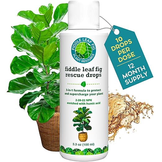 Fiddle Leaf Fig Rescue Drops – Treats Root Rot Brown Spots Leaf Drop &amp Stress | Immune Boosting Liquid Formula Concentrate | Easy to Use | Safe for All Tropical Plants | 3.3 oz | Made in USA