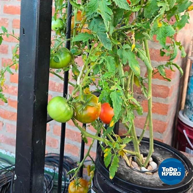 Grow Pot Original DWC System Kit Complete with Accessories (5gal)