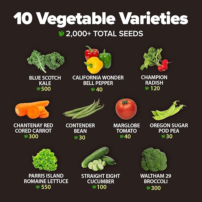 2000+ Vegetable Seeds for Planting - Bonsai Tree Kit - Gifts for Men &amp Women