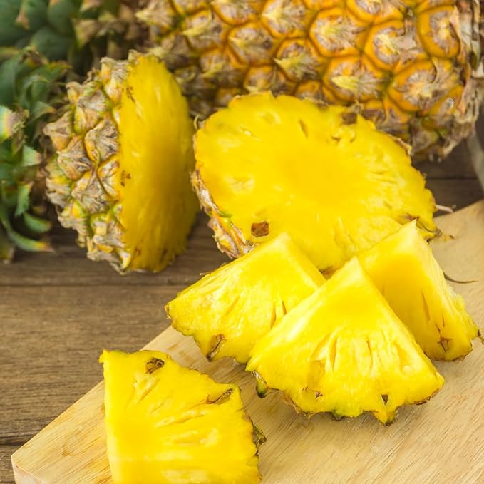 2 Sugarloaf Pineapple Plants Pineapple Plants Live for Planting Sweet Pineapple Starters Plant for Home Garden and Containers