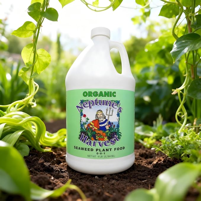 Neptune’s Harvest Seaweed Plant Food (0-0-1) - Multi-Purpose Seaweed Organic Liquid Fertilizer - Indoor &amp Outdoor Plant Fertilizer for Lawns Gardens Vegetables &amp Flowers (Gallon)