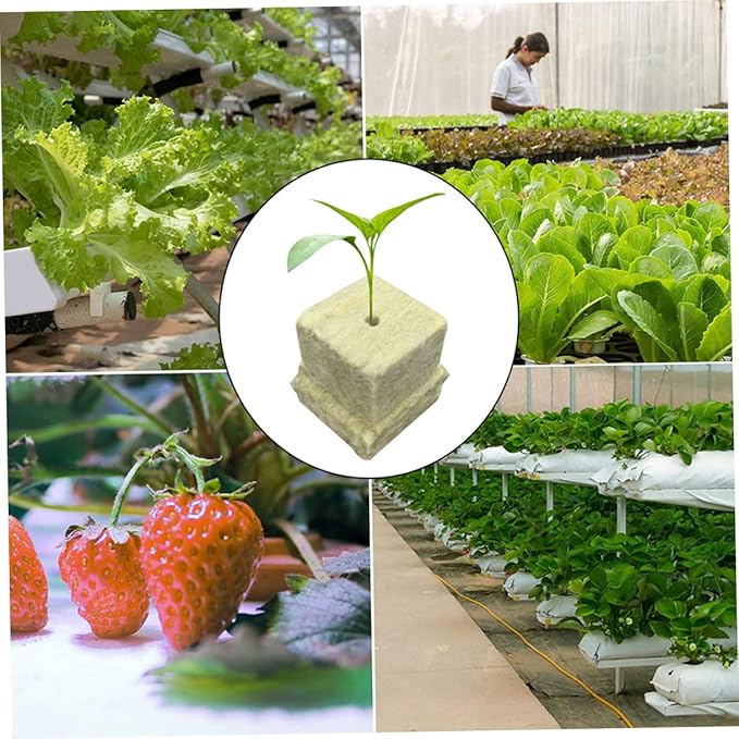 POPETPOP 100pcs Planting Cubes Sprout Grow Cubes Soilless Cultivation Blocks Hydroponics Nutrients Nursery Soil Blocks for Indoor Plants