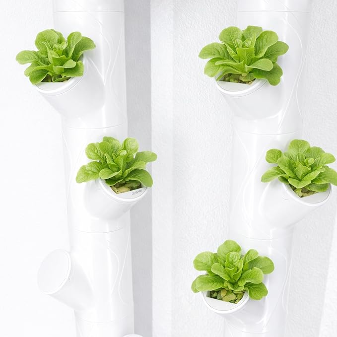 EBaokuup 24 Pcs Grow Cubes for Hydroponic System Grow Cube Hydroponic Cups Compatible with yCube Reusable Hydroponic System Grow Cube for Indoor Graden Supplies