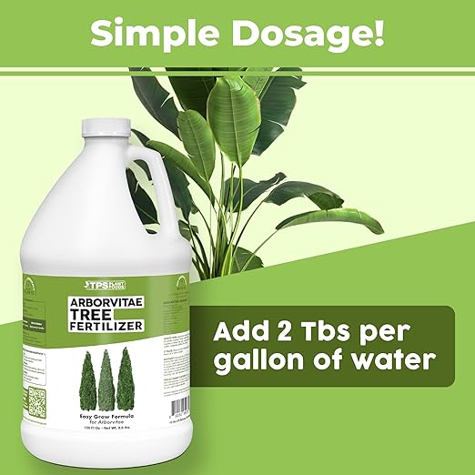 Arborvitae Tree Fertilizer – Liquid Plant Food for Fuller Green Foliage Faster Growth &amp Stronger Root Development 1 Gallon