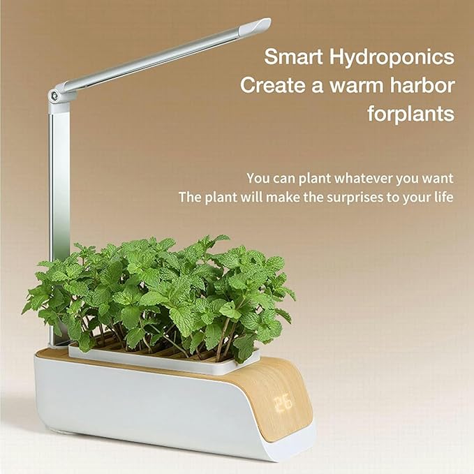 Hydroponic Culture System Plant Flu