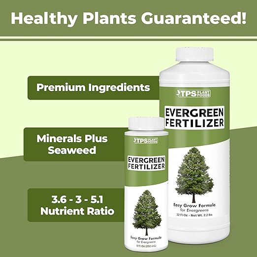 Evergreen Tree Fertilizer – Liquid Plant Food for Rich Green Needles Stronger Roots &amp Healthy Year-Round Growth 32 oz