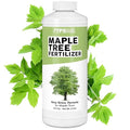 Maple Tree Fertilizer – Liquid Plant Food for Vibrant Color Stronger Roots &amp Healthy Growth 32 oz