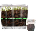 Worm Farm for Kids Shipped with Live Worms - Observation Kit with Ecosystem Soil Mixing Sand Magnifying Glass &amp More from Nature Gift Store