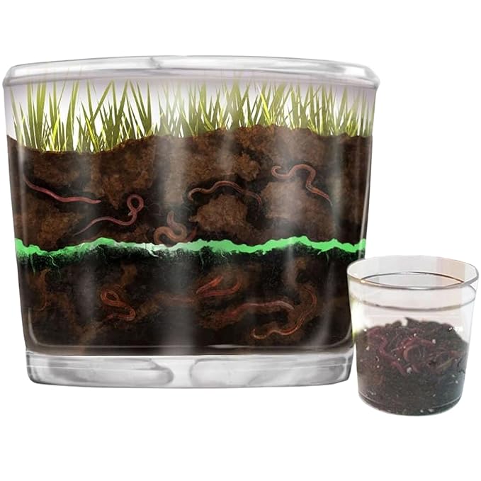 Worm Farm for Kids Shipped with Live Worms - Observation Kit with Ecosystem Soil Mixing Sand Magnifying Glass &amp More from Nature Gift Store