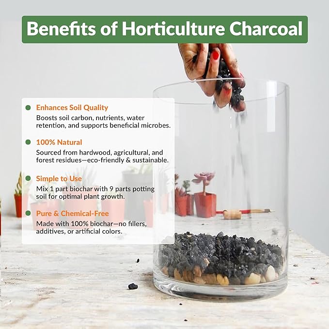 Old Potters Premium Horticultural Charcoal Chips Natural Soil Amendment for Areation and Healthy Microbe and Plant Growth. (24 Quarts)