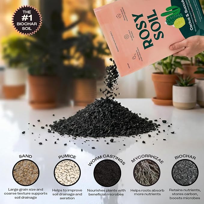 Rosy Soil Cactus and Succulent Potting Soil Mix for Houseplants - Fast Draining Organic Potting Soil for Succulents AloeVera Indoor Plant - Root Boosting for Drought Tolerant Growth Pack of 2