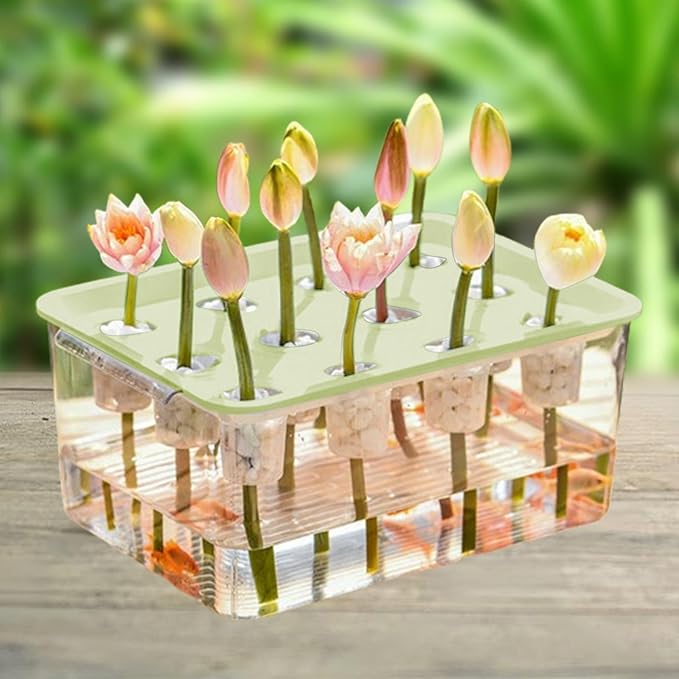Indoor Hydroponics Tool Hydroponic System Growing Kit Microgreens Growing Kit for Indoor Green Lid