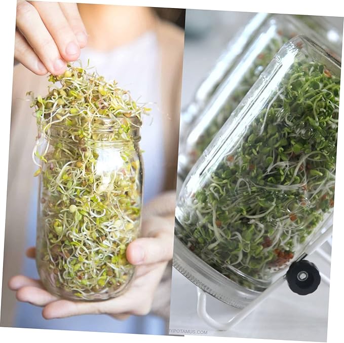 1Set Sprouting Kit with Blackout Sleeves Indoor Sprouting Jar Microgreens Includes Wide Mouth Mason Jars Mesh Lids and Blackout Sleeves for Optimal Growth