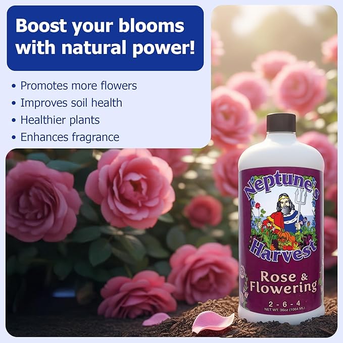 Neptune's Harvest Rose &amp Flowering Fertilizer (2-6-4) - 36oz Bottle - Organic Liquid Food for Vibrant Blooms &amp Growth - Promotes Healthy Foliage - Ideal Fertilizer for Indoor &amp Outdoor Use
