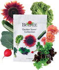 Burpee Garden Sown Flower Herb &amp Vegetable 10 Packs of Non-GMO Basil Lettuce Cucumber Radish Spinach Kale Zucchini Sunflower &amp Marigold Seeds for Planting