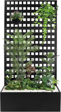 Metal Planter Box with Trellis 35''Lx18''Wx71''H Raised Garden Bed with Trellis for Climbing Plants with Privacy Screen Planter with Trellis &ampDrainage Holes Privacy Planters (35''Lx18''Wx71''H)