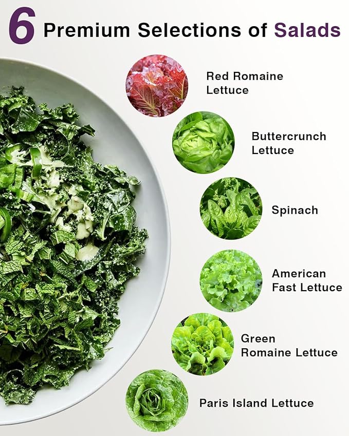Salad Greens Seed Pod Kit for AeroGarden iDoo Ahopegarden MUFGA with Red/Green Romain/American Fast/Buttercrunch/Parris Island Lettuce Spinach - Compatible with All Garden (12-Pod)