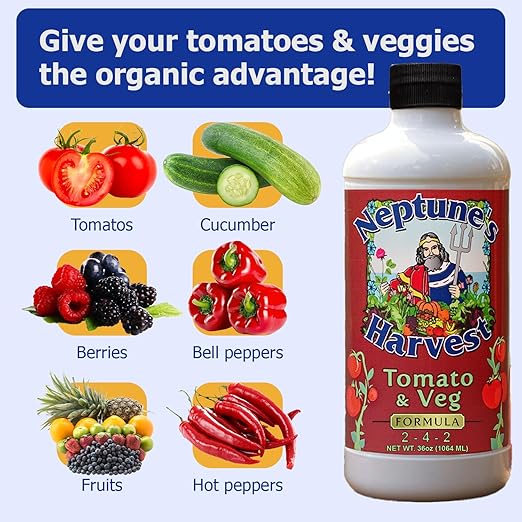 Neptune's Harvest Organic Plant Fertilizer | Liquid Fertilizer for Lawn Garden &amp Houseplant | Rich in Essential Nutrients | Hydrolyzed Fish 2-4-1 (Quart) + Tomato &amp Veg Plant Food 2-4-2 (Quar