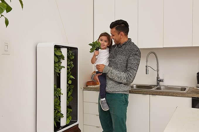 Just Vertical EVE Tower Garden | Hydroponic Growing System | Grow 12 Fresh Herbs &amp Vegetables Year-Round | Self-Watering Energy-Efficient LED Compact Design Fully Assembled | Walnut