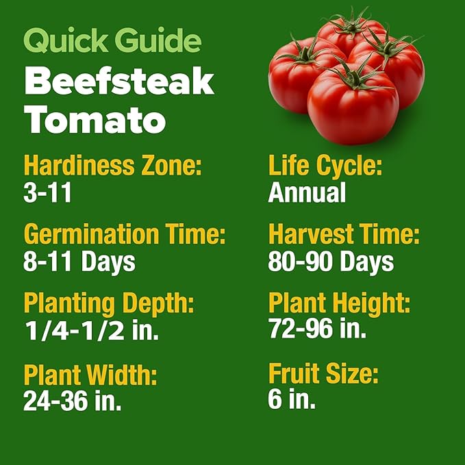 HOME GROWN 𝗨𝗦𝗔 𝗣𝗥𝗘𝗠𝗜𝗨𝗠 Arugula Roquette Seeds Pack 2175 &amp Banana Pepper 94 &amp Beefsteak Tomato 300 &amp Buttercrunch Lettuce 1975