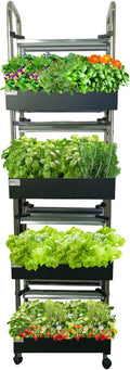 Compact 4-Tier Hydroponics Growing System Kit 80 Pods Vertical Indoor Garden with Full-Spectrum LED Grow Light Auto-Circulating Water Pump 25.5L Indoor System for Herbs &amp Microgreens