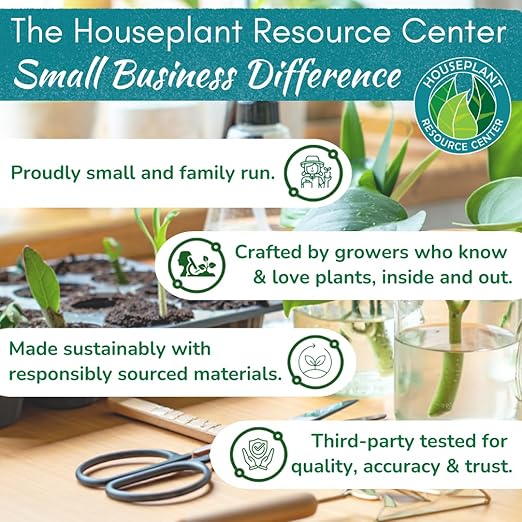 Root Rot Repair for Houseplants – Root Supplement &amp Recovery Drops for Overwatering or Shock | Heals Roots Prevents Yellowing Brown Spots &amp Dropping Leaves (8 oz)