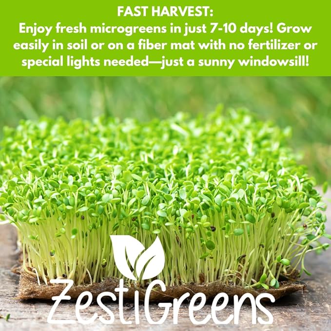 10 Variety Pack Microgreens Seeds - Broccoli Sunflower Pea Salad Mix Daikon Radish Kale Amaranth Spicy Salad Red Cabbage &amp Arugula. Grow Your own Microgreens with These Organic Seeds.
