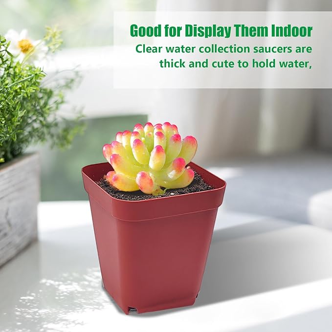 Square Plastic Nursery Pot 3 120 Pcs Deep Succulent Pots Small Flower Planter Seeds Starter Pots with Drainage (GreenBlackRed 40pcs Each2.7Inches)