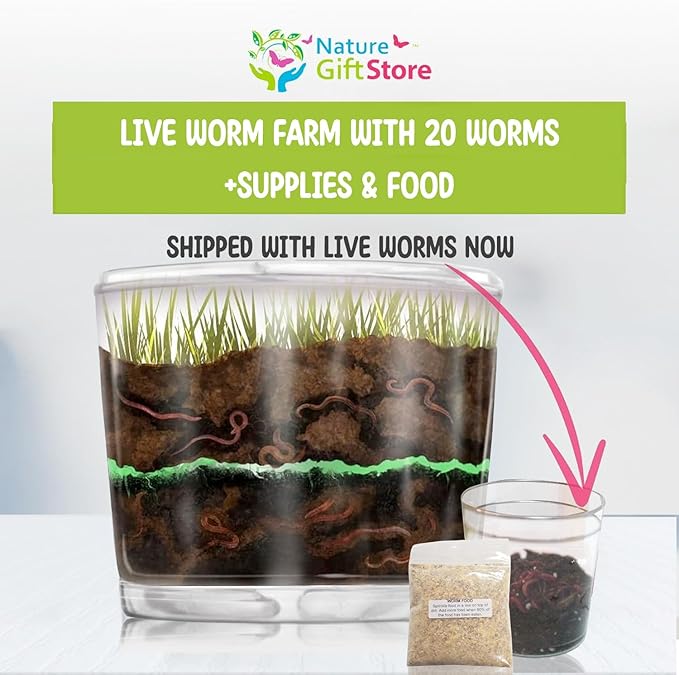 Worm Farm for Kids Shipped with Live Worms and Food - Observation Worm Farm Kit with Ecosystem Soil Mixing Sand Magnifying Glass &amp More