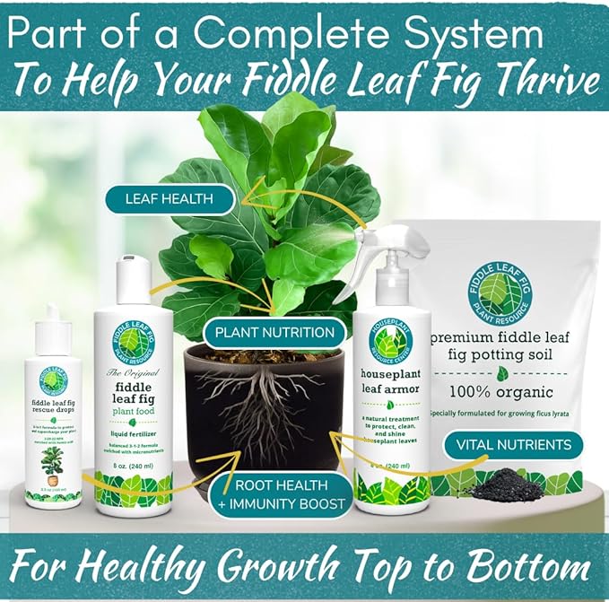 100% Organic Fiddle Leaf Fig Soil – Optimally-Draining Potting Mix for Healthy Roots Fewer Brown Spots &amp Faster Growth | Enriched with Biochar &amp Bark | Made in USA | Large 7.5L Bag