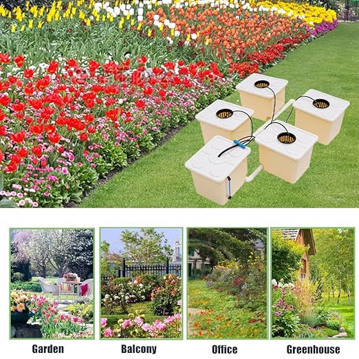 5 Hydroponic Buckets Kit for Plants Top Feed Drip Hydroponics Growing System for Herbs/Tomato/Vegetables DWC System with Submerged Pump (Complete Indoor Hydroponic Gardening Supplies)