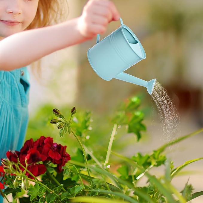 Small Metal Watering Can Set Pink 1.2L and 0.23L Garden Cans with Long Spout Indoor Outdoor Plant Care (Green Blue)