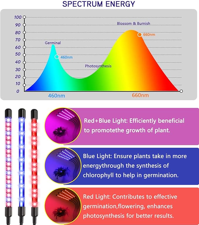 Plant Grow Lights for Indoor Plants Full Spectrum80 LED Plant Lights for Indoor Growing with Timer 4 Head Clip Indoor Plant Grow Lamp for House Plants with 3 Lighting Mode/10 Brightness