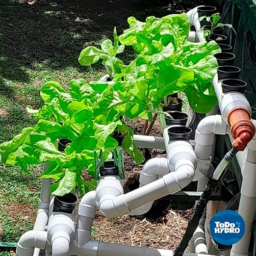 ToDo Hydro Macrobionic and Microbionic Solid Nutrient Solution Big Yields (Yield 320 gal)