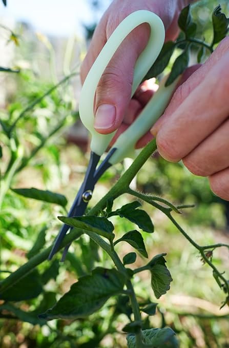 Clonex 100ml Cloning Gel &amp Obsidian Drake Pro Hort Scissors Bundle - Rooting Gel with Non-Stick Fluorine L-Shape Blade Trimming Scissors for Gardening