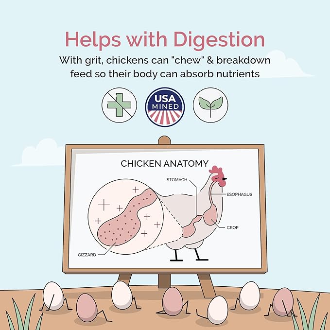 Chicken Grit &amp Oyster Shell Bundle – 100% Natural Mineral Grit &amp Limestone Calcium for Layers &amp Growers – Strong Eggshells Healthy Digestion USA Mined 2-Pack (4 lbs. Each)